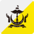 Royal Brunei Airlines logo