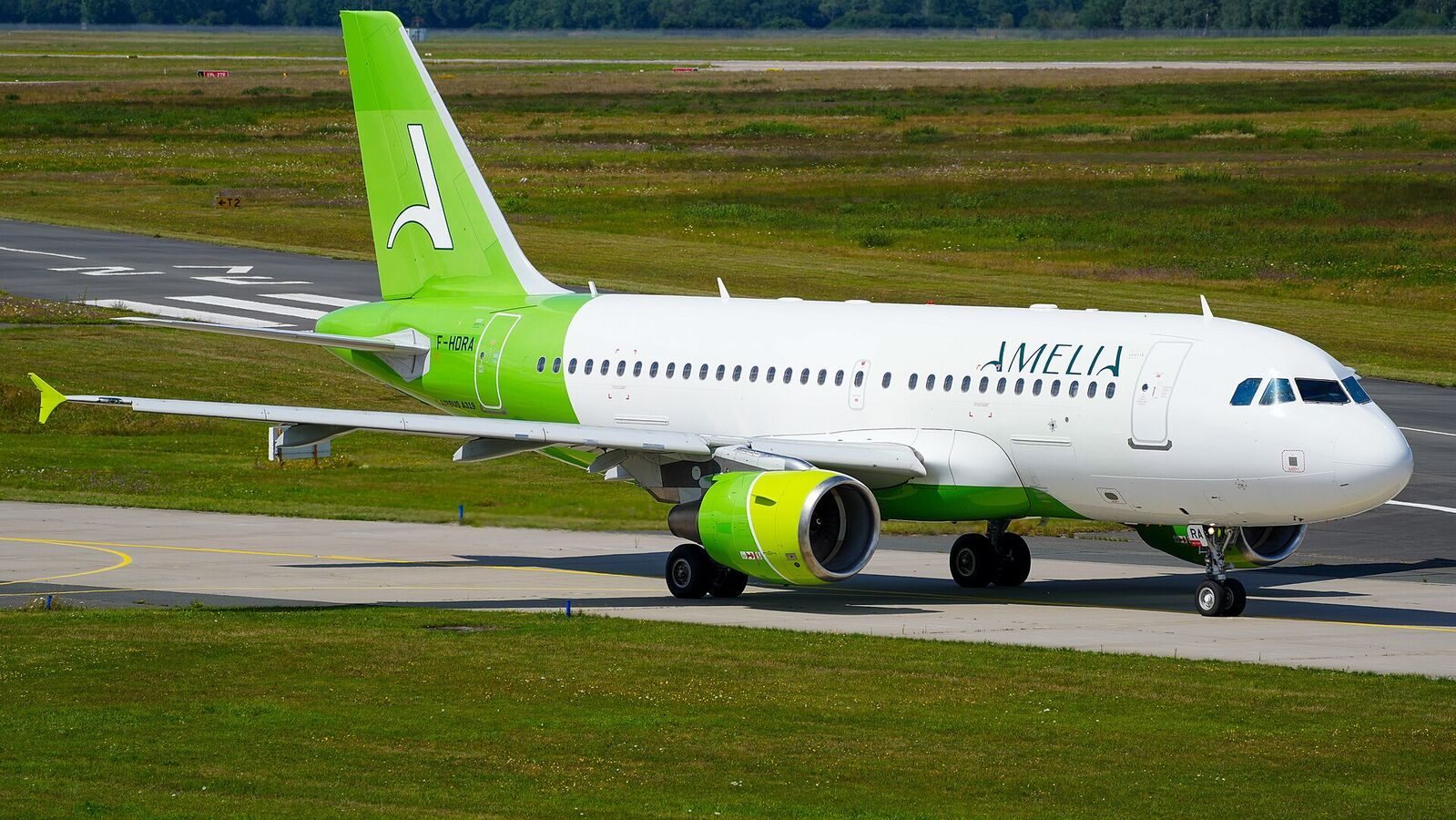 Amelia International aircraft in current livery