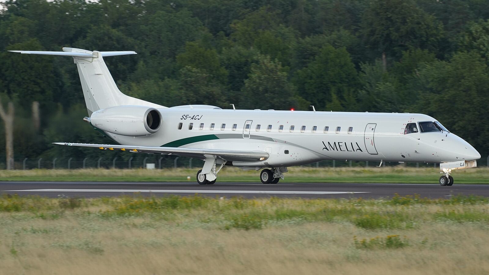 Amalia aircraft in current livery