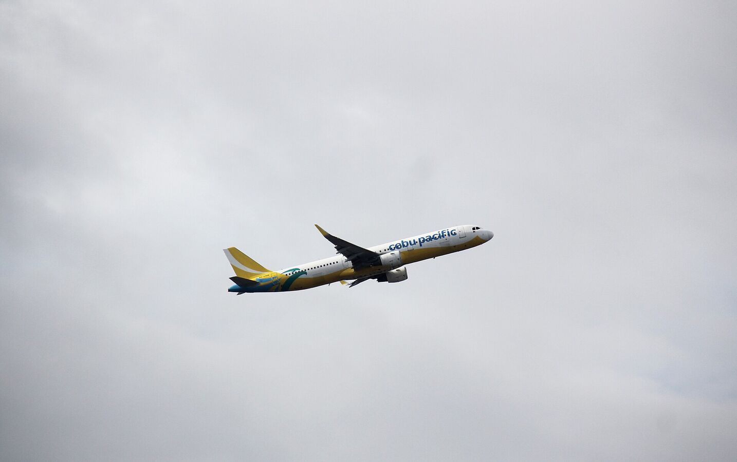 cebu pacific aircraft in current livery