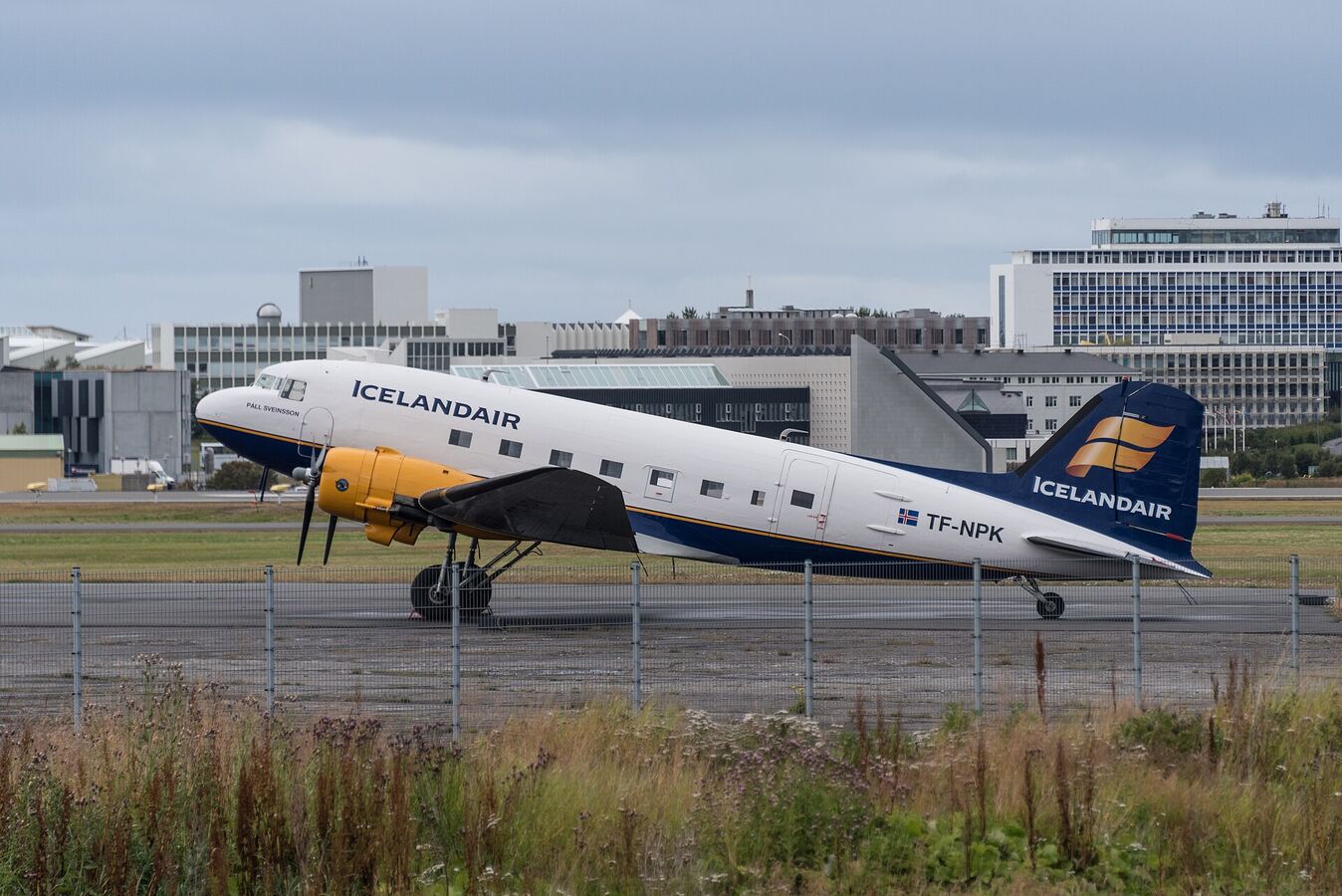Icelandair aircraft in current livery