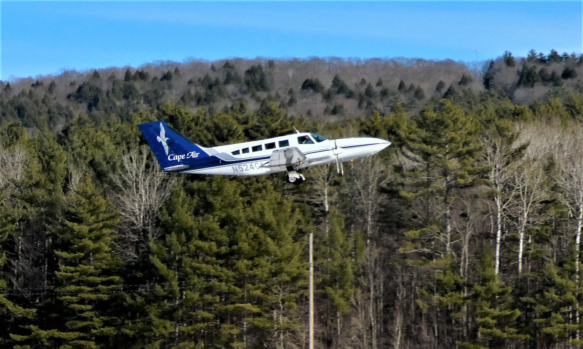 Cape Air aircraft in current livery