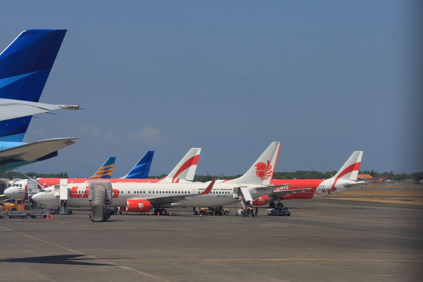 Lion Airlines aircraft in current livery